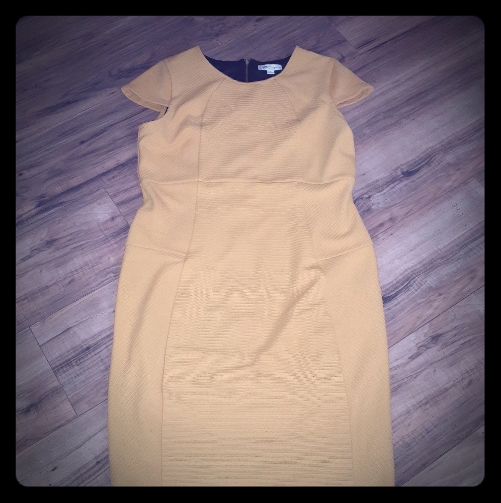 MUSTARD Yellow Dress 16